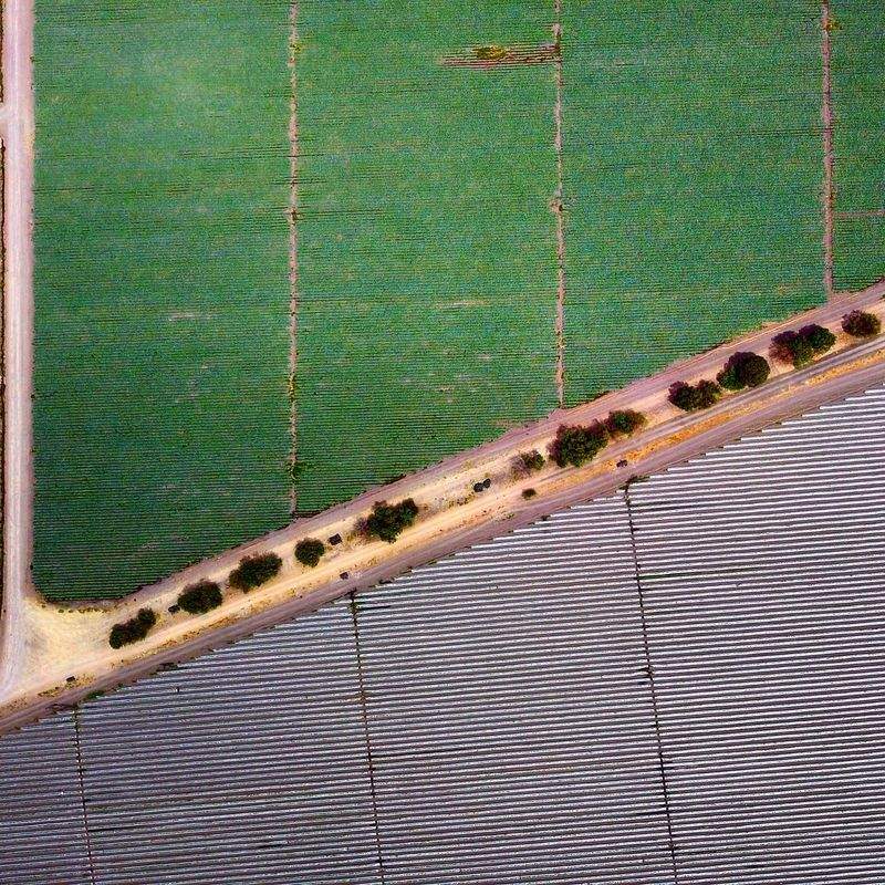 Agricoltura Verde Italia - Image 13